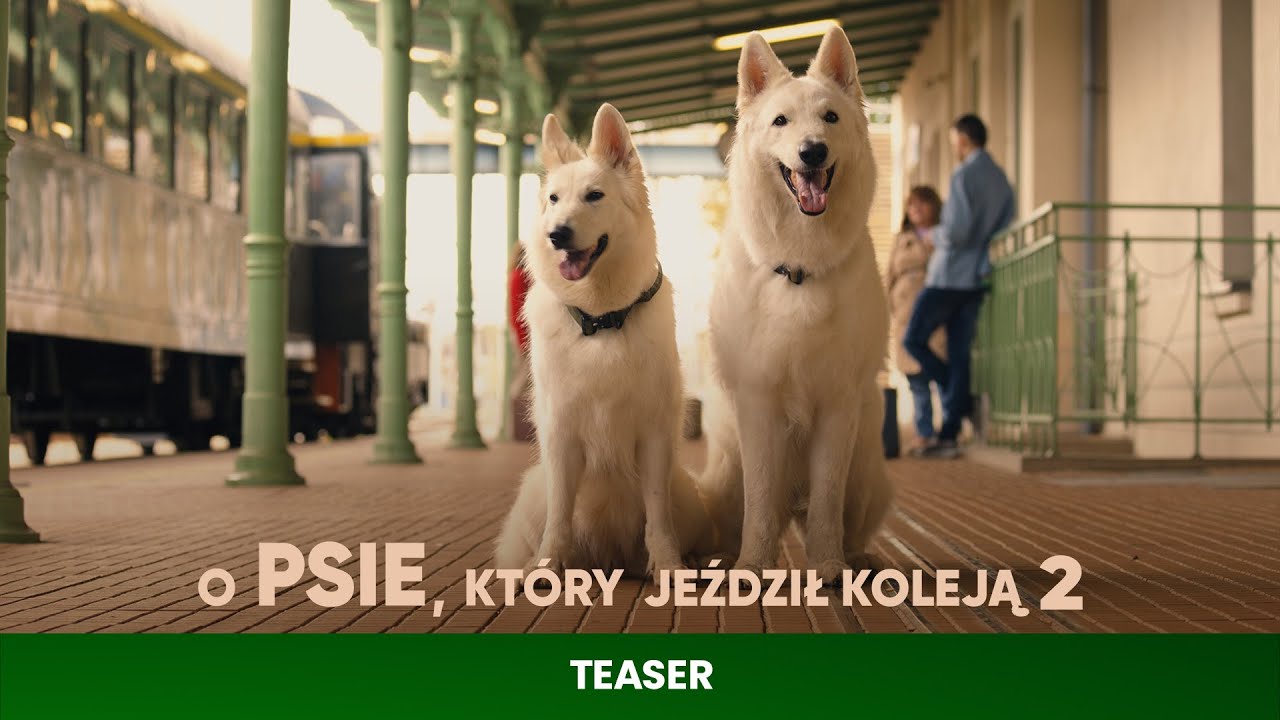 O PSIE, KTÓRY JEŹDZIŁ KOLEJĄ 2 | Teaser | Kino Świat