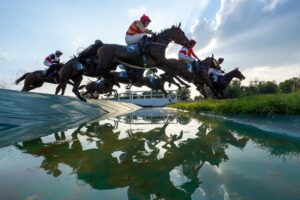 Crystal Cup,Wrocławski Tor Wyścigów Konnych,Partynice,gonitwy przeszkodowe,Dzień Województwa Dolnośląskiego,Jerzy Sawka,Puchar Crystal Cup,European Cross Country Challenge