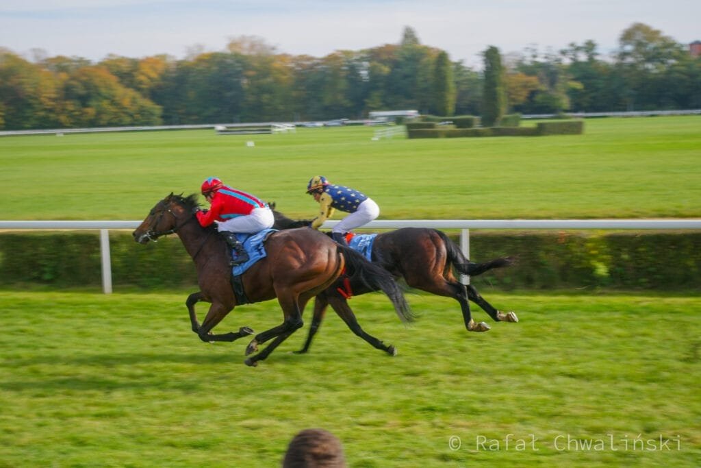 wyścigi konne,Partynice,Crystal Cup,Wrocław,tor wyścigów konnych,11. dzień wyścigowy,atrakcje dla rodzin,wydarzenia Wrocław,wyścigi przeszkodowe