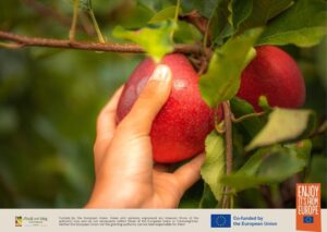 Francuskie jabłka,Bliski Wschód,kampania promocyjna,Unia Europejska,Interfel,odmiany jabłek,zrównoważone rolnictwo,jakość,preferencje konsumentów,produkty ekologiczne,eksport jabłek
