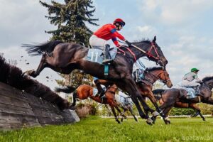 Crystal Cup,Wrocławski Tor Wyścigów Konnych,Partynice,gonitwy przeszkodowe,Dzień Województwa Dolnośląskiego,Jerzy Sawka,Puchar Crystal Cup,European Cross Country Challenge