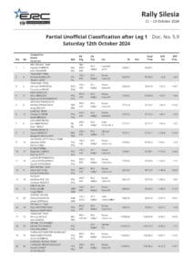 Rajd Silesia 2024,Hayden Paddon,John Kennard,Andrea Mabellini,Simone Tempestini,Mikołaj Marczyk,Grzegorz Grzyb,MRF Tyres,BRC Racing Team,Skoda Fabia RS,Hyundai i20 N,wyniki rajdu,drugi dzień