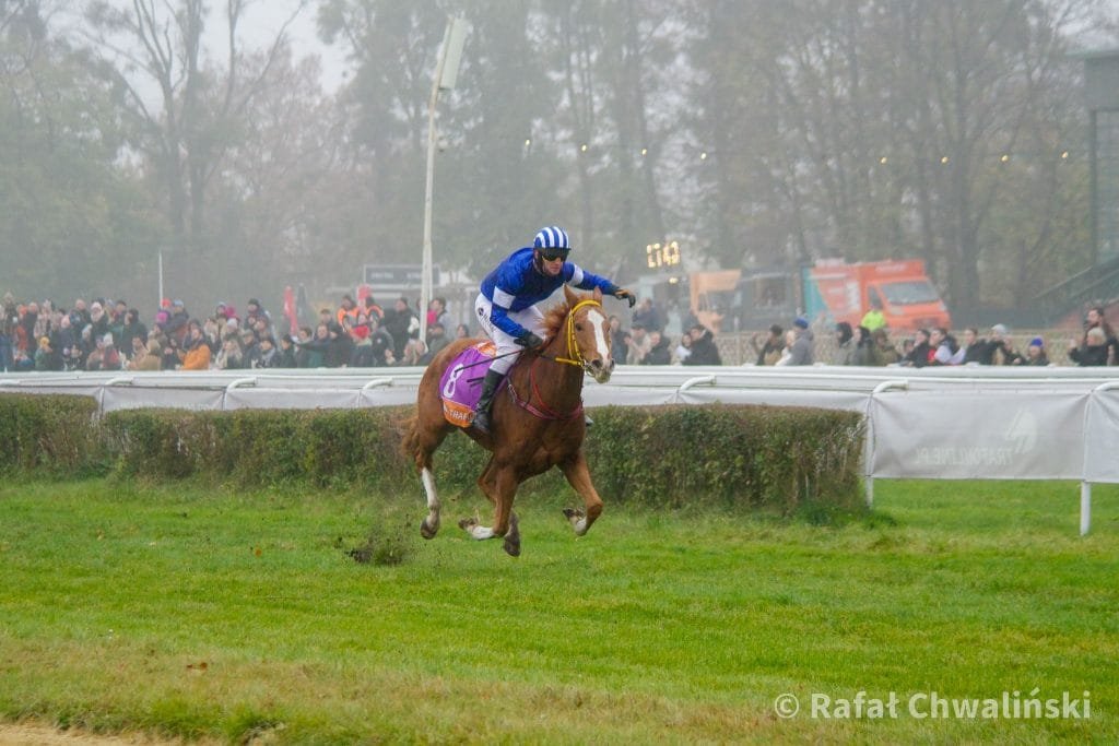 otwarcie sezonu Partynice 2025,majówka Wrocław,wyścigi konne Wrocław,Partynice atrakcje,wydarzenia majowe Wrocław,konie wyścigowe,pokazy jeździeckie Wrocław,working equitation,powożenie konne,horse agility,hobby horse Wrocław,Dzień Rekreacji Jeździeckiej,Partynice program 1 maja,tor wyścigów konnych Wrocław,atrakcje dla dzieci majówka,VR wyścigi konne,stajnia Partynice zwiedzanie,elegancja wyścigowa,moda na Partynicach,majówka z końmi,darmowe wydarzenia Wrocław,rodzinne wydarzenia majówka,torpartynice.pl,co robić we Wrocławiu 1 maja,wydarzenia dla rodzin Wrocław majówka