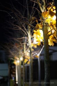 Oborniki Śląskie,nocna fotografia,zabytki,krajobraz miejski,wieczorny spacer