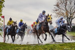 wyścigi konne,Partynice,zakończenie sezonu,gonitwy,Wrocław,Nagroda Zamknięcia Sezonu,Tadeusz Dachowski,Wrocławska Liga Hobby Horse,spotkanie autorskie