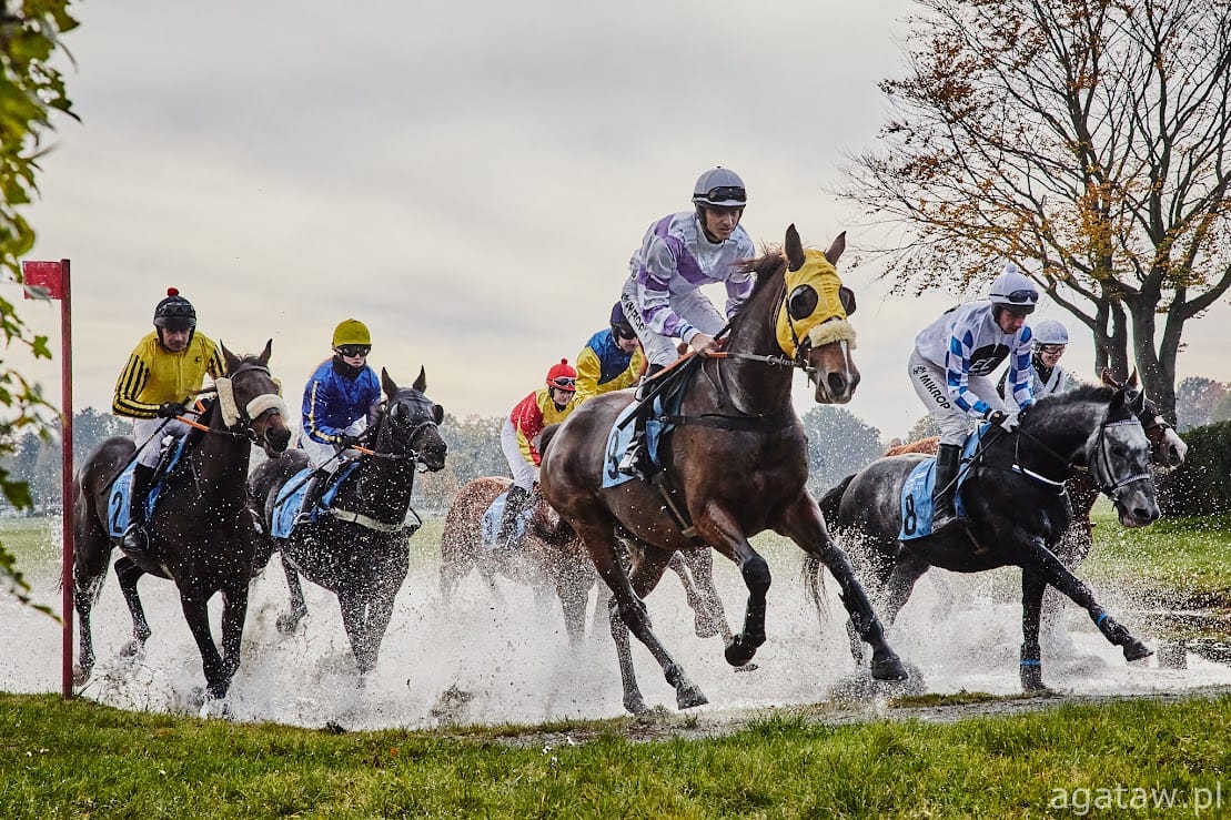 wyścigi konne,Partynice,zakończenie sezonu,gonitwy,Wrocław,Nagroda Zamknięcia Sezonu,Tadeusz Dachowski,Wrocławska Liga Hobby Horse,spotkanie autorskie