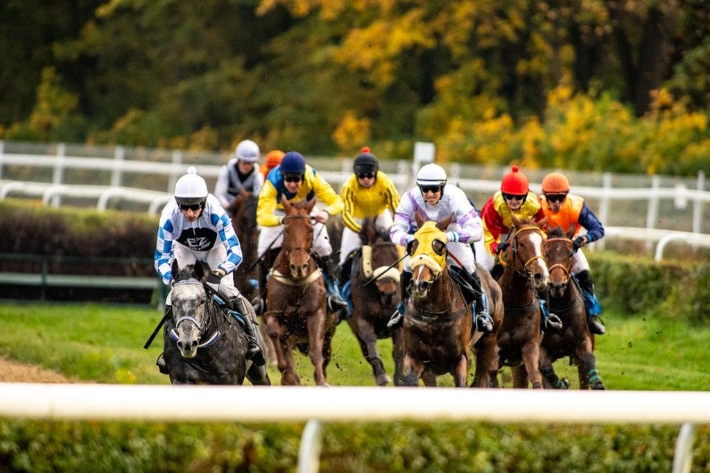 wyścigi konne,Partynice,zakończenie sezonu,gonitwy,Wrocław,Nagroda Zamknięcia Sezonu,Tadeusz Dachowski,Wrocławska Liga Hobby Horse,spotkanie autorskie