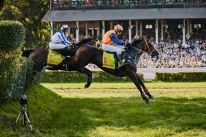 Wrocław,Partynice,wyścigi konne,frekwencja,Wielka Wrocławska,Ladies Day,wydarzenia plenerowe