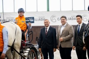 Bawaria Motors Driving Tour,Hipodrom Wola,powożenie,Halowe Zawody Towarzyskie,kwalifikacje,Warszawa,finał