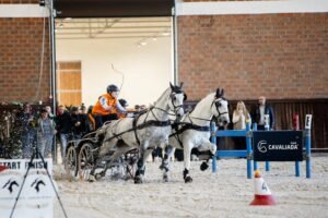 Bawaria Motors Driving Tour,Hipodrom Wola,powożenie,Halowe Zawody Towarzyskie,kwalifikacje,Warszawa,finał