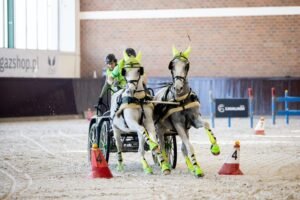 Bawaria Motors Driving Tour,Hipodrom Wola,powożenie,Halowe Zawody Towarzyskie,kwalifikacje,Warszawa,finał