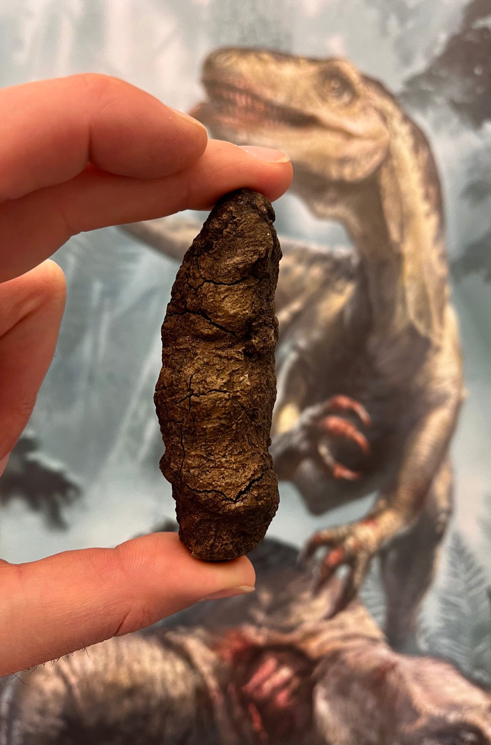 dinozaury,ewolucja,koprolity,badania naukowe,paleontologia,sieci pokarmowe,ekosystemy,badania synchrotronowe,zmiany klimatyczne