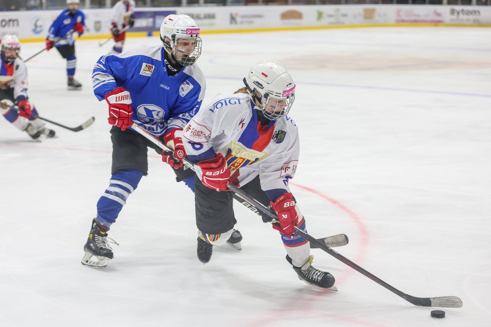 TAURON Liga Hokeja Kobiet,hokej na lodzie,Stoczniowiec Gdańsk,Polonia Bytom,Kojotki Naprzód Janów,Hala Olivia
