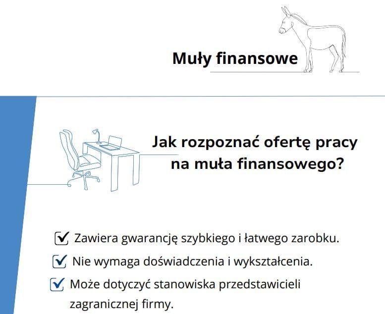 oszustwa finansowe,muły finansowe,pranie pieniędzy,ochrona danych,bezpieczna rekrutacja