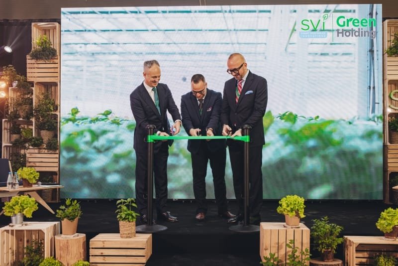 SVI,hydroponika,uprawy hydroponiczne,Zdunowo,zrównoważone rolnictwo,Green Holding,sałaty,zioła,innowacje rolnicze