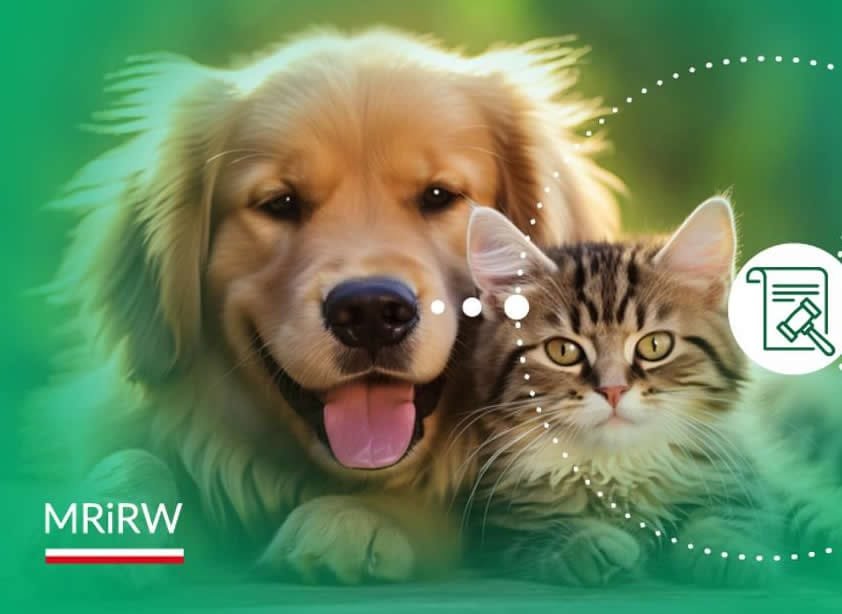 ustawa łańcuchowa,projekt ustawy o ochronie zwierząt,Ministerstwo Rolnictwa,dobrostan zwierząt,kontrowersje,hodowla zwierząt,kastracja psów i kotów,rolnictwo,organizacje prozwierzęce,prace legislacyjne