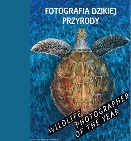 dzika przyroda w muzeum miedzi legnica baner