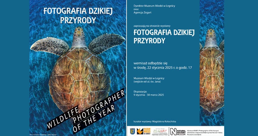 dzika przyroda w muzeum miedzi legnica