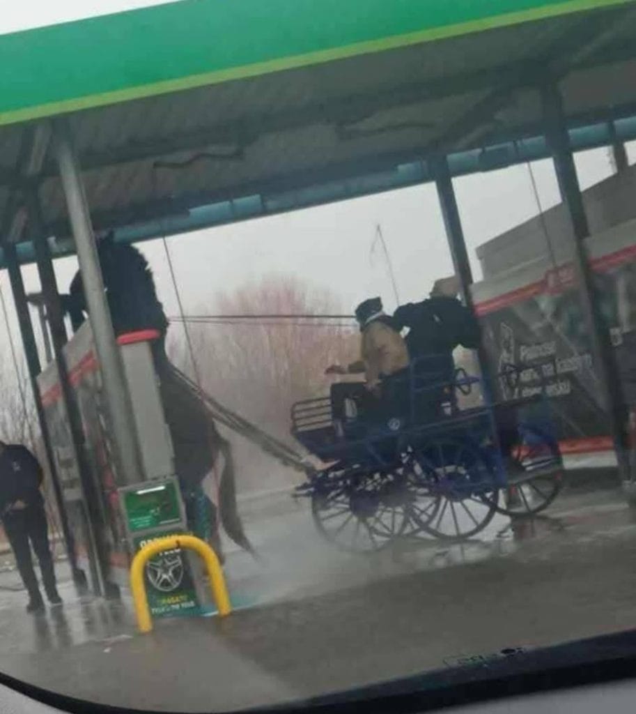 myli konia na myjni samochodowej fot. infoprzasnysz 2