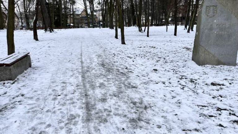 „Zima zaskoczyła urzędników – mieszkańcy Obornik Śląskich narzekają na bezpieczeństwo w parku”