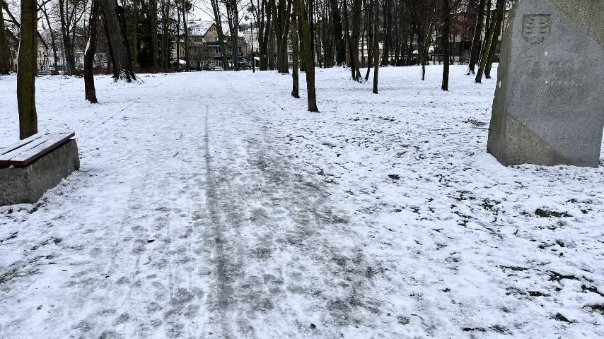 oborniki ślaskie park radio dtr 4812