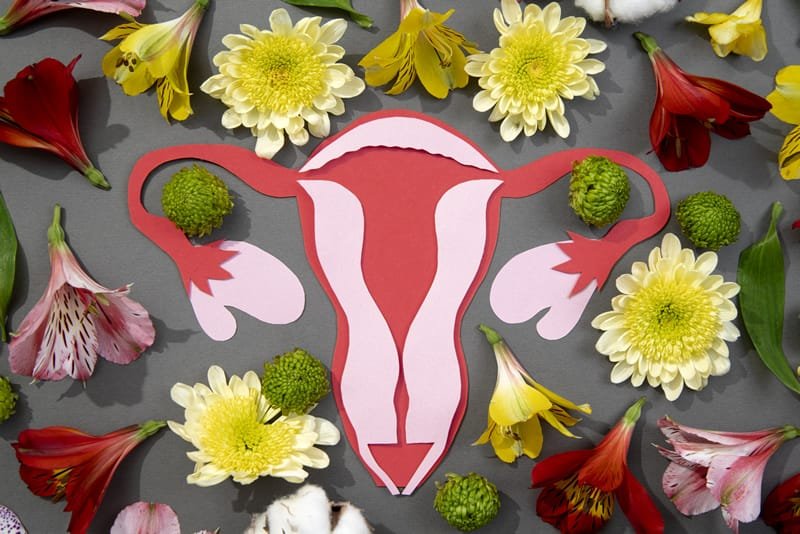 test rakowy janików