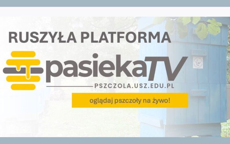 pasieka tv na zut baner