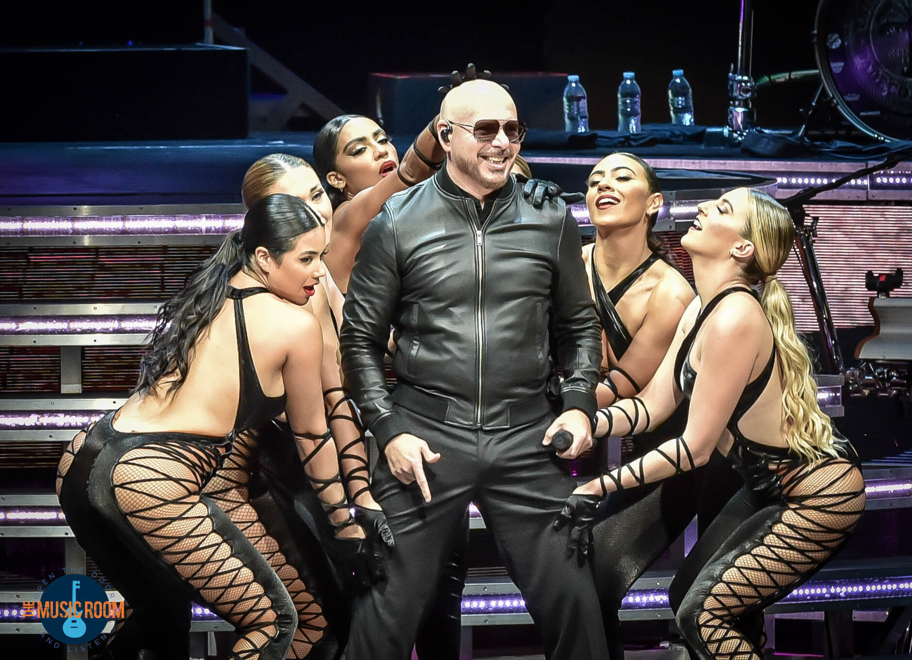 pitbull 24 8