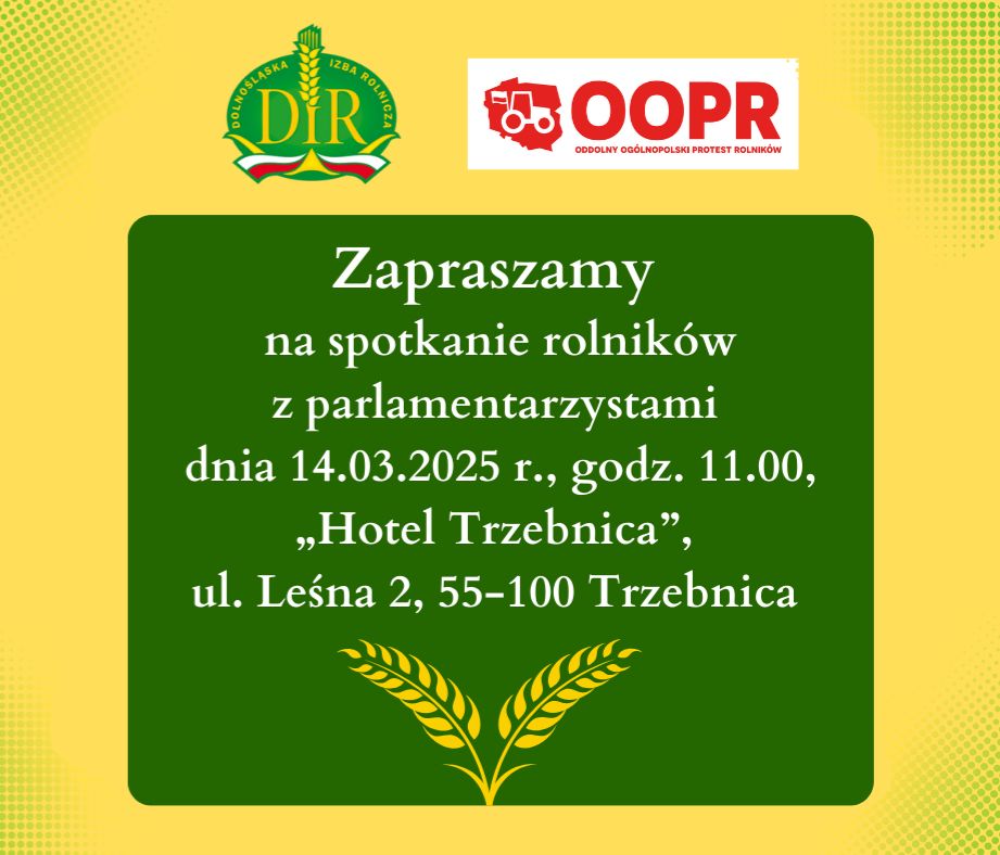 dir w trzebnicy