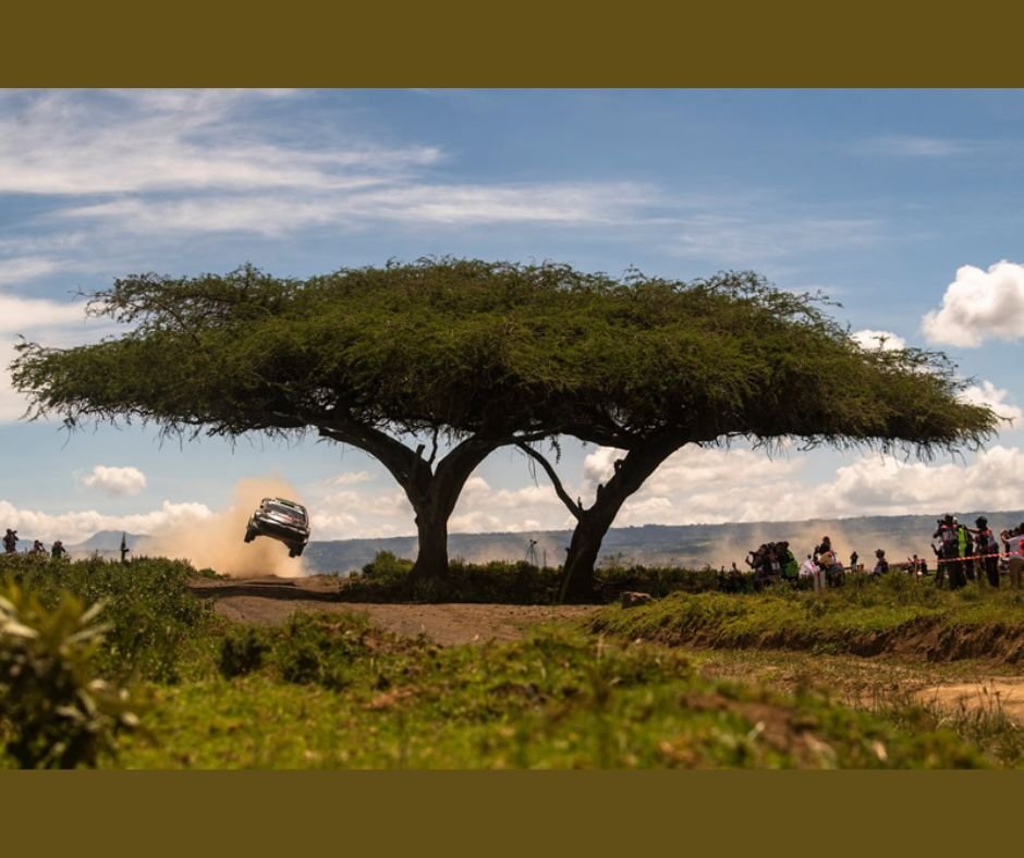 elfyn evans si202503210619