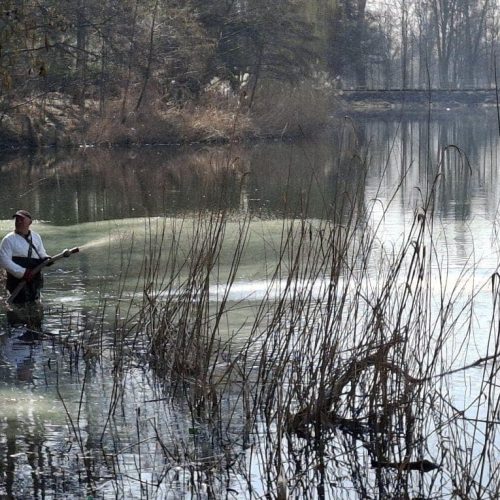 Jezioro Pawłowickie ponownie oczyszczone! Nowoczesna metoda poprawia jakość wody