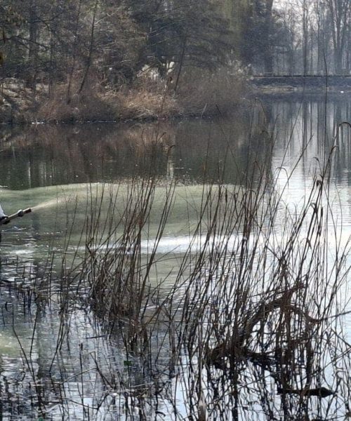 Jezioro Pawłowickie ponownie oczyszczone! Nowoczesna metoda poprawia jakość wody