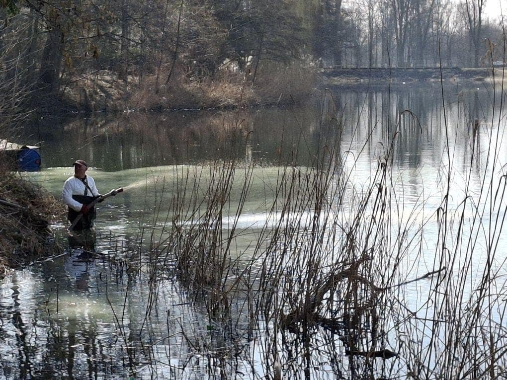 jezioro pawłowickie bentonit w wodzie 482304200 1191477902345082 4334183544021531902 n