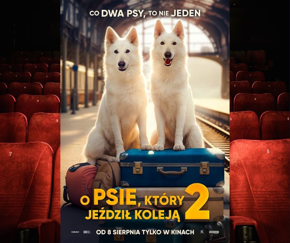 o pise ktory jezdzi koleja 2