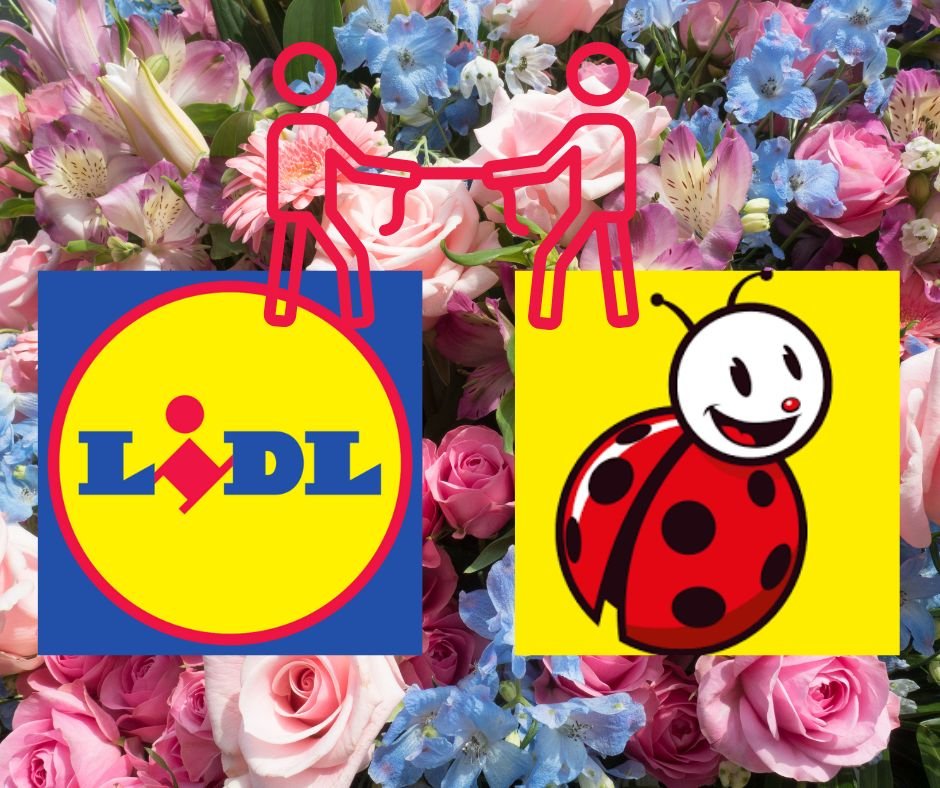 rywalizacja lid biedronka na 8 marca