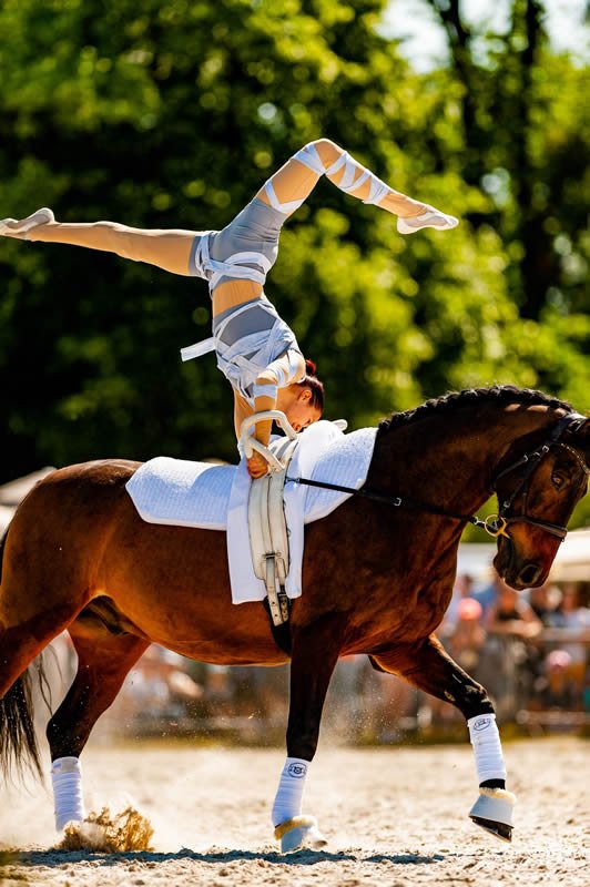 pokaz woltyżerki na dniu wyścigowym fot. wiktor rzeżuchowski