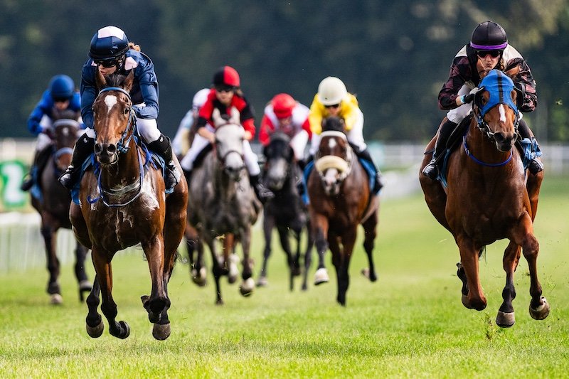 Fot. wiktor rzeżuchowski (1)