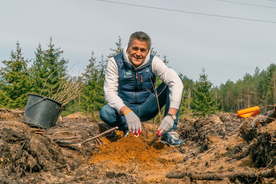 holowczyc sadzi drzewa 4