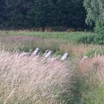 Whatsapp image 2025 06 25 at 18.37.51