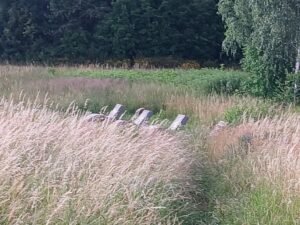 Whatsapp image 2025 06 25 at 18.37.51