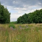 Whatsapp image 2025 06 25 at 18.38.13