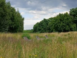 Whatsapp image 2025 06 25 at 18.38.13