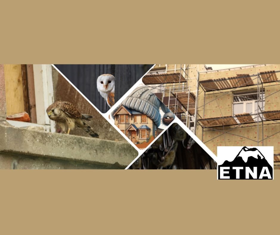 Etna szkolenie termomodernizacyjne dla ptakow