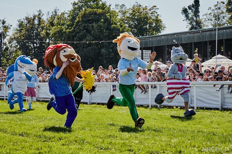 Fot. agata władyczka (1)