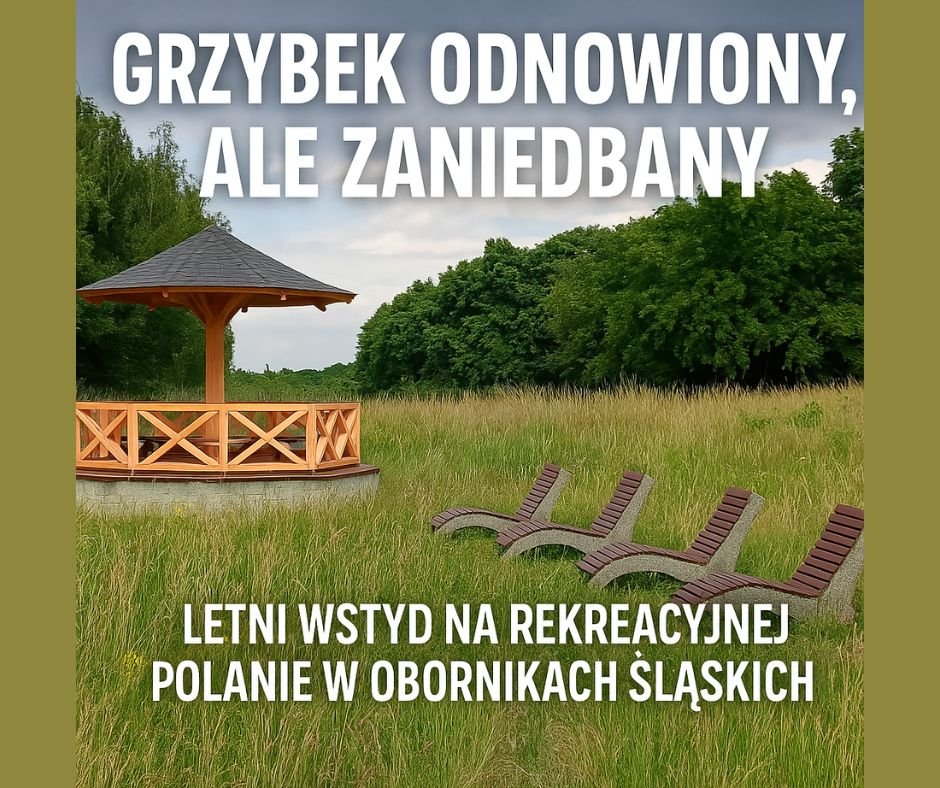 Wstydliwy grzybek