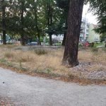 Fontana skwer miejski oborniki slaskie