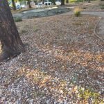 Resized 20250718 195829 1752861559303