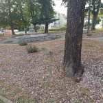 Resized 20250718 201729 1752862683909