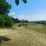 Resized 20250719 141055 1752934683652