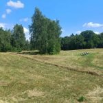 Resized 20250719 141347 1752935012111